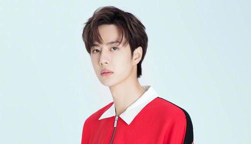 娱乐大爆料配音演员表名单,揭秘配音演员阵容，声临其境的幕后英雄  第1张